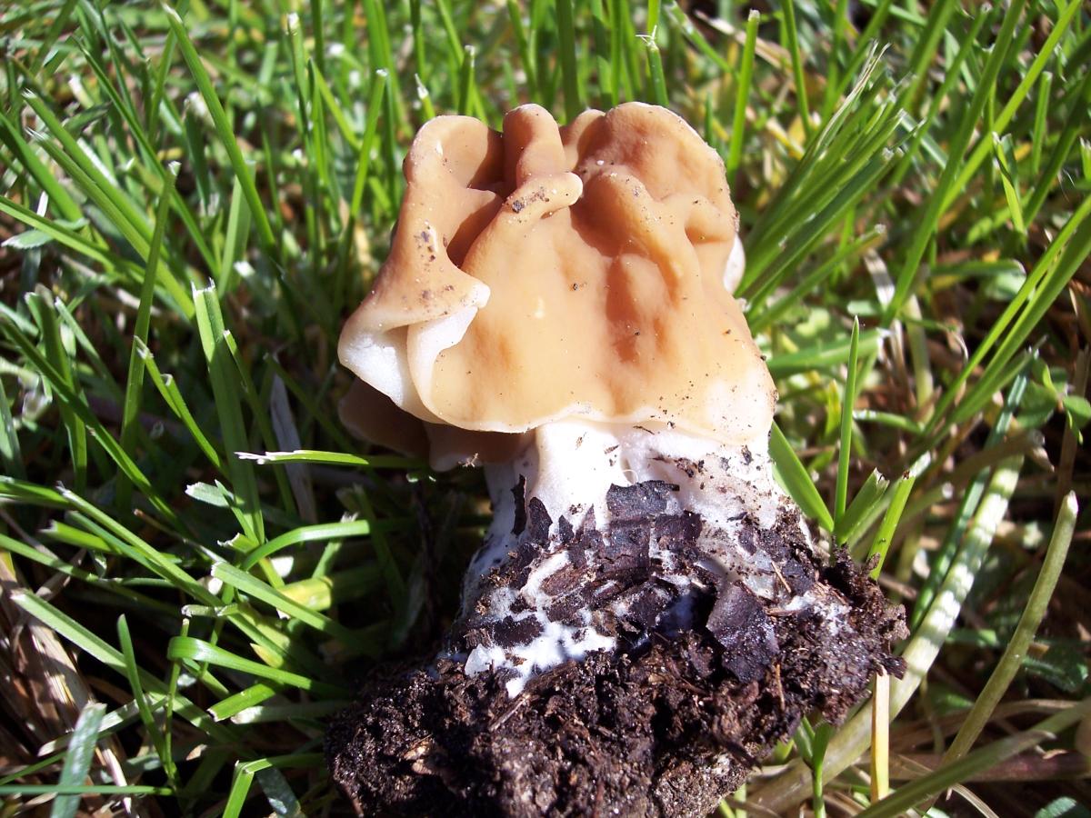 A 1000 metri dopo l''acqua